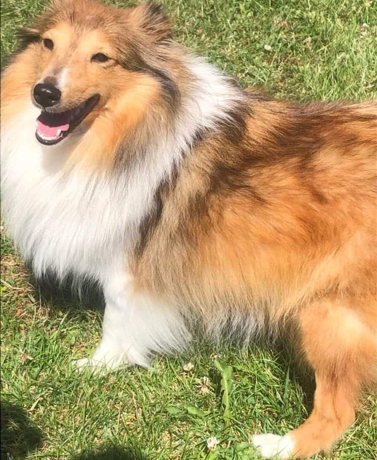 Simone Du Domaine Des Embruns Salés