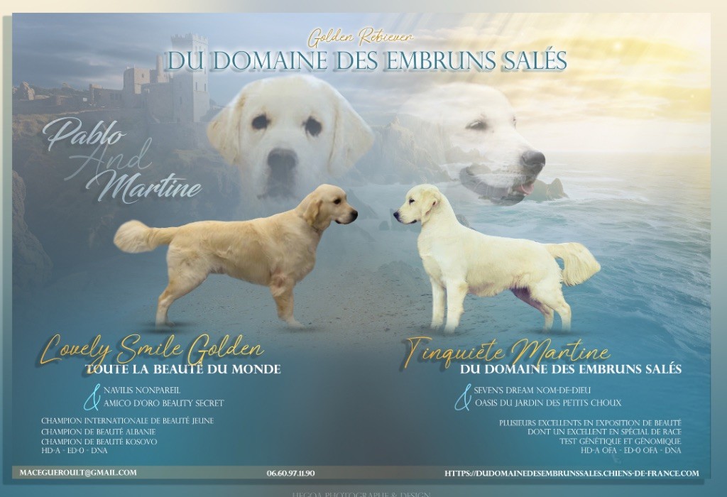 Les bébés sont arrivés !